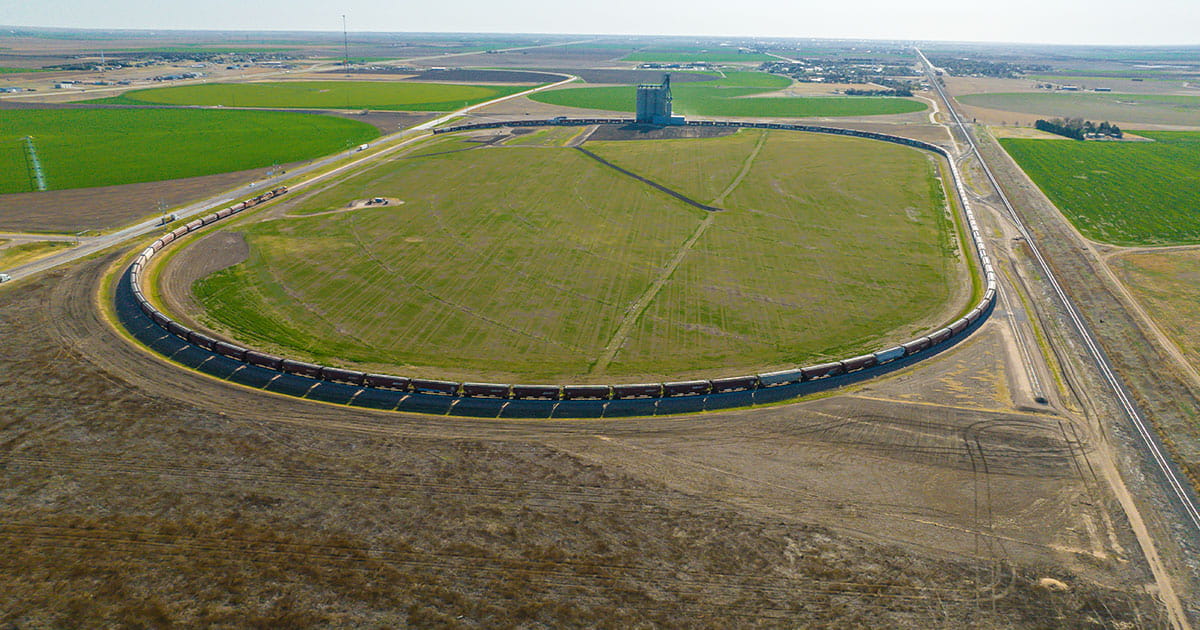 Train being loaded at a grain elevator.