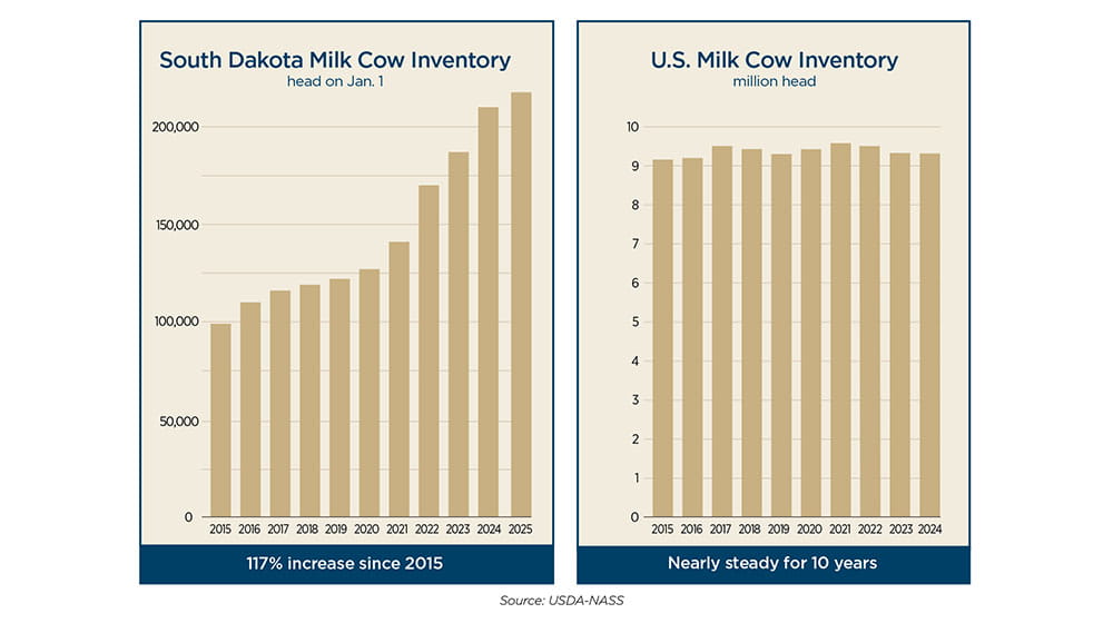 Two bar charts showing that South Dakota milk cow inventory has increased steadily since 2015 and U.S. milk cow inventory has remained nearly steady for 10 years.
