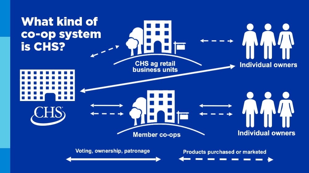 What kind of co-op system is CHS? 