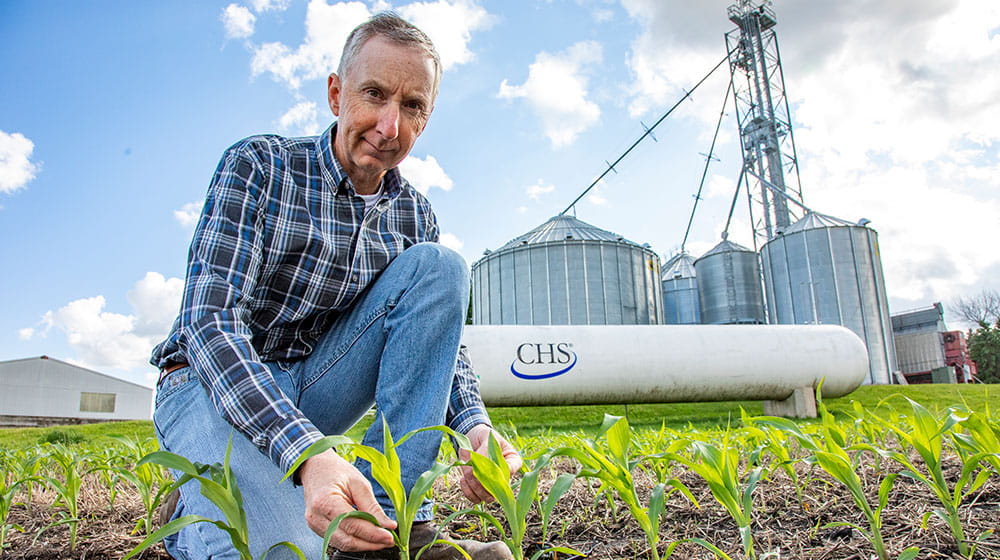 Man kneeling in field with young crops