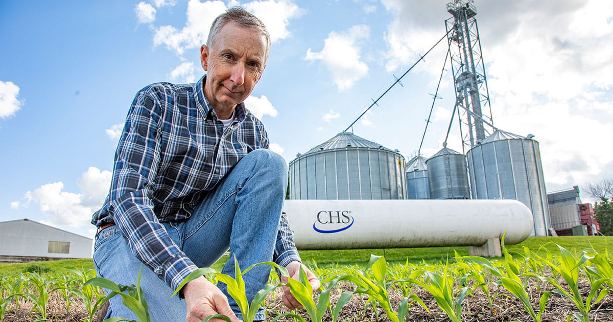 Man kneeling in field with young crops