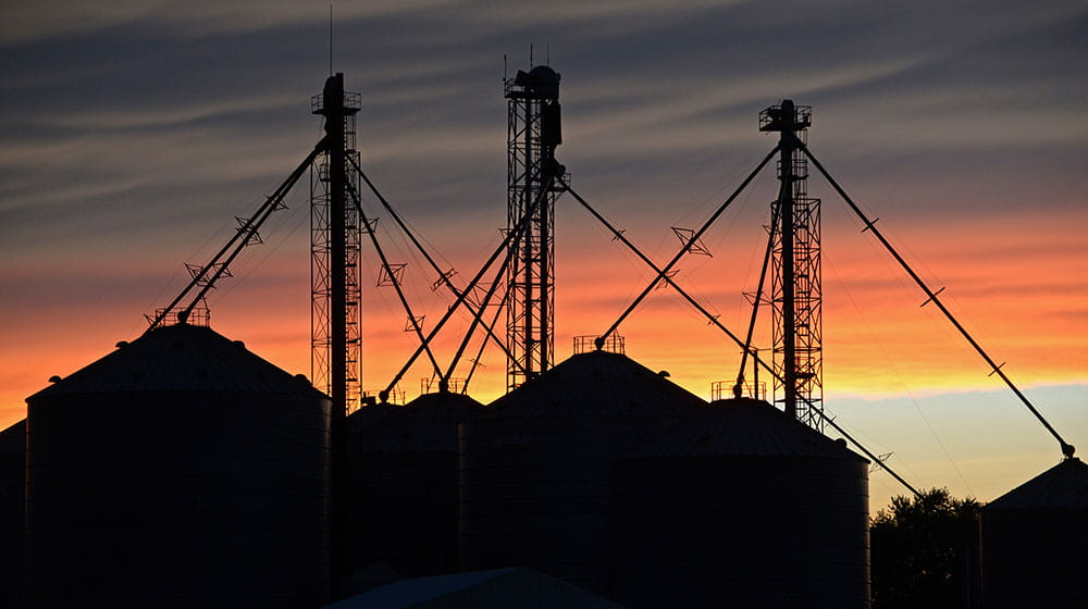 Grain bins with a sunset in the background.