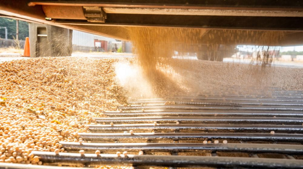 China remains a major market for U.S. soybeans, although demand is slowing down. 