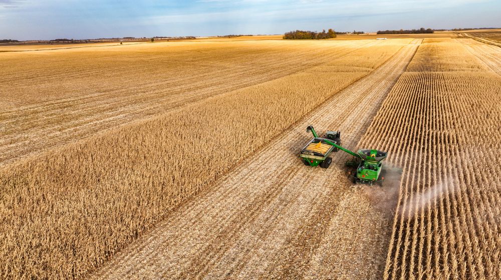 Aerial image of corn harvest at sunset.