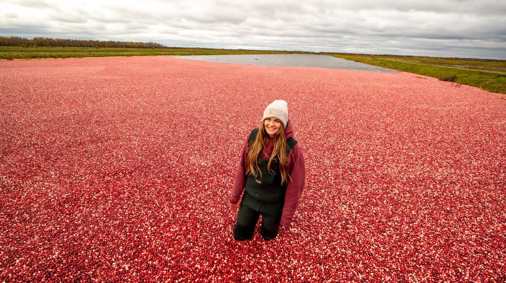 Woman standing in a bog filled with red cranberries.